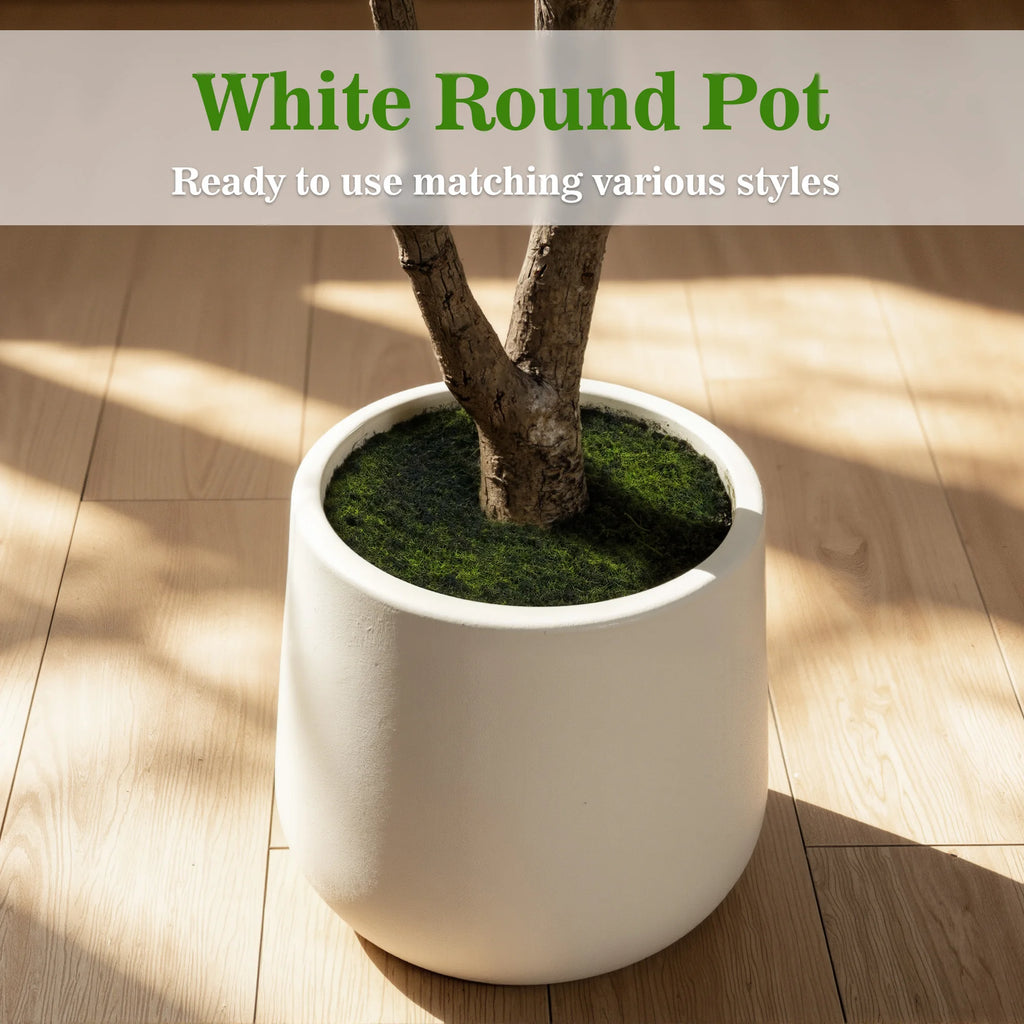 Artificial Black Olive Tree — 5 to 7 ft, PE Foliage, White Round Pot