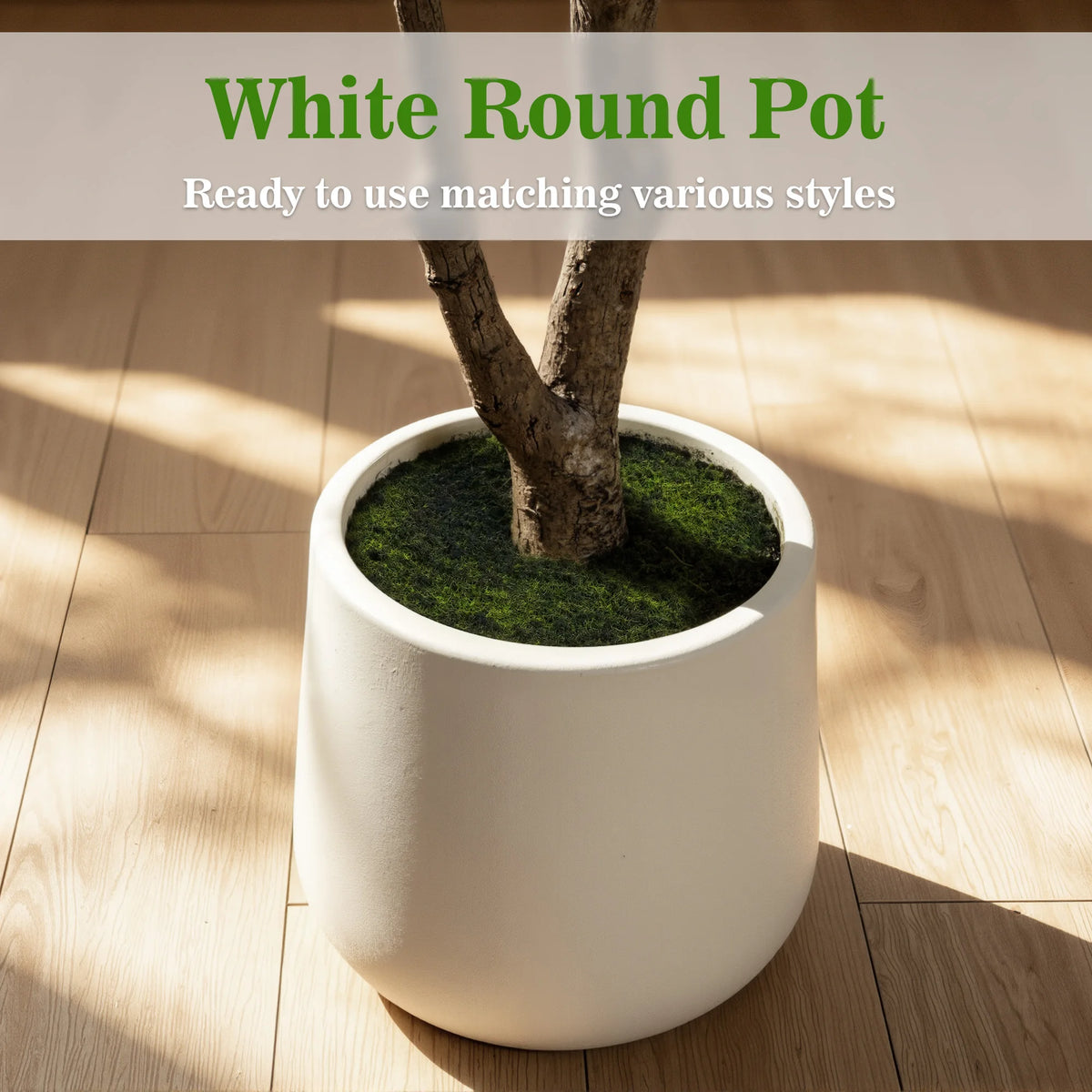 Artificial Black Olive Tree — 5 to 7 ft, PE Foliage, White Round Pot