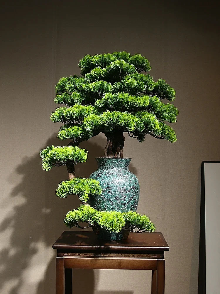 The 24in bonsai in profile, its branches reaching past the pot rim