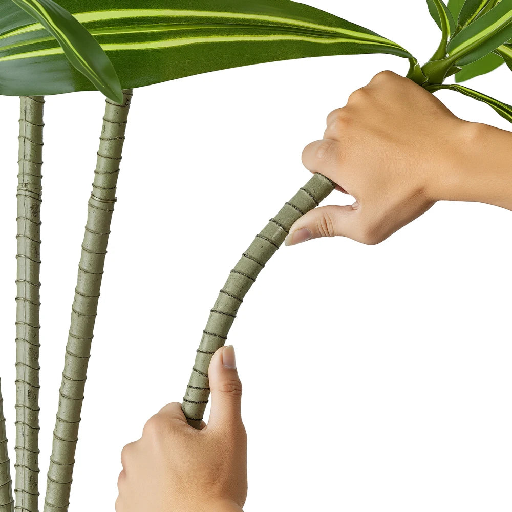 Artificial Dracaena Tree — 6 ft, White Planter with Moss Cover