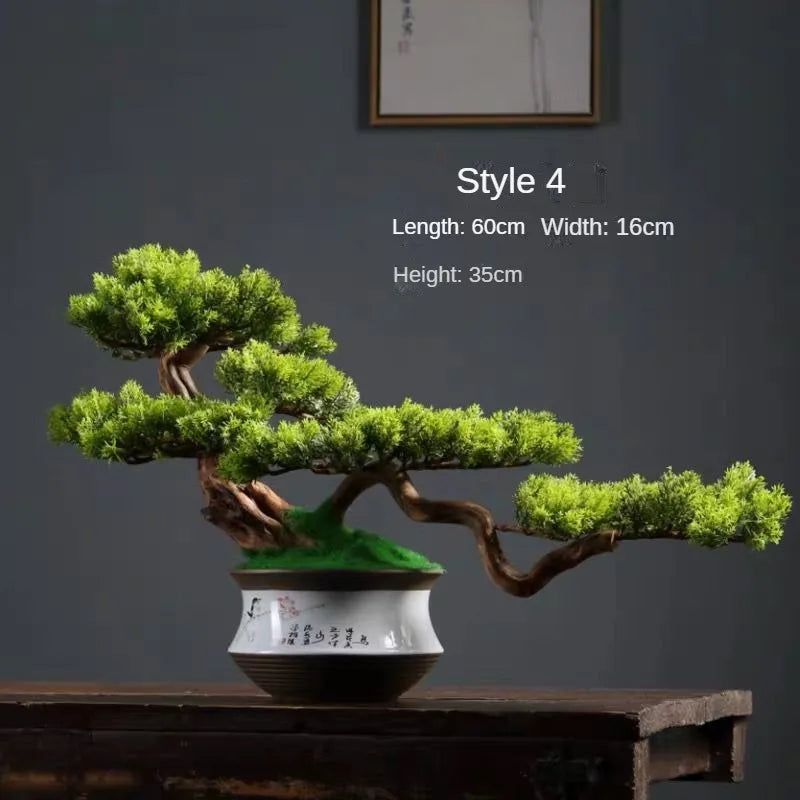 The sculpted trunk of the 2ft bonsai curving up from its shallow pot