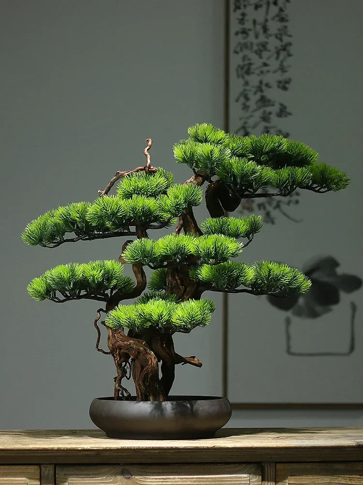 Pot and base of the 24in pine bonsai, topped with moss and gravel