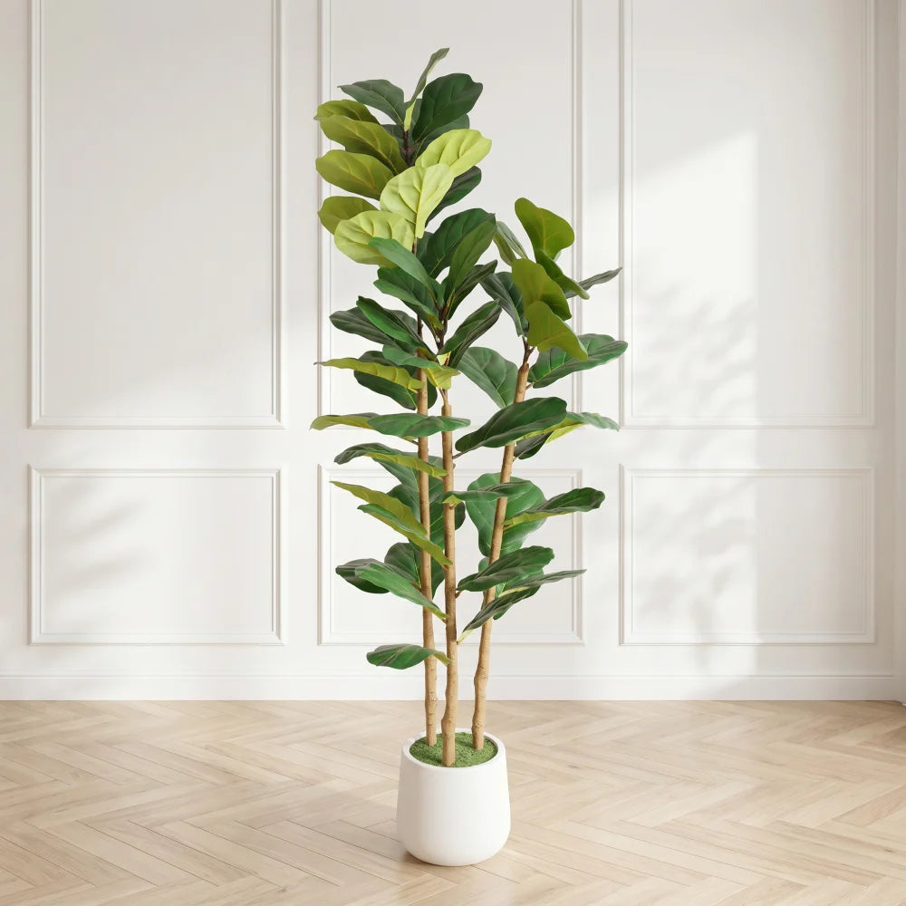 Artificial Fiddle Leaf Fig Tree — 5.2 ft, White Mossed Pot, Single Corner Size