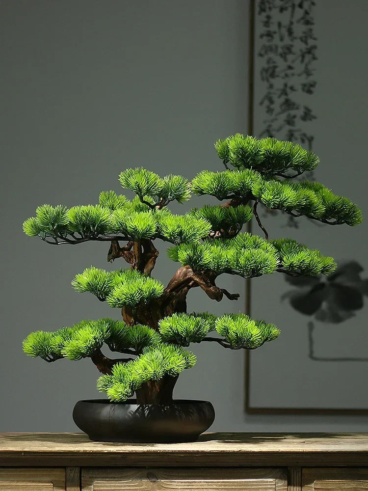 Close-up of a branch pad where it joins the trunk of the 24in bonsai
