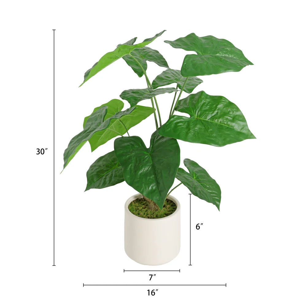 Artificial Alocasia Leaf Plant — 30 in, Set of 2 in a White Pot