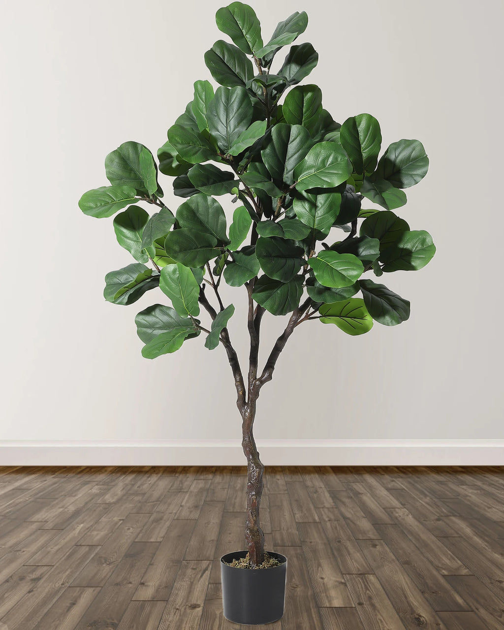 Artificial Fiddle Leaf Fig Tree — 4 to 6 ft, Black Planter with Weighted Base