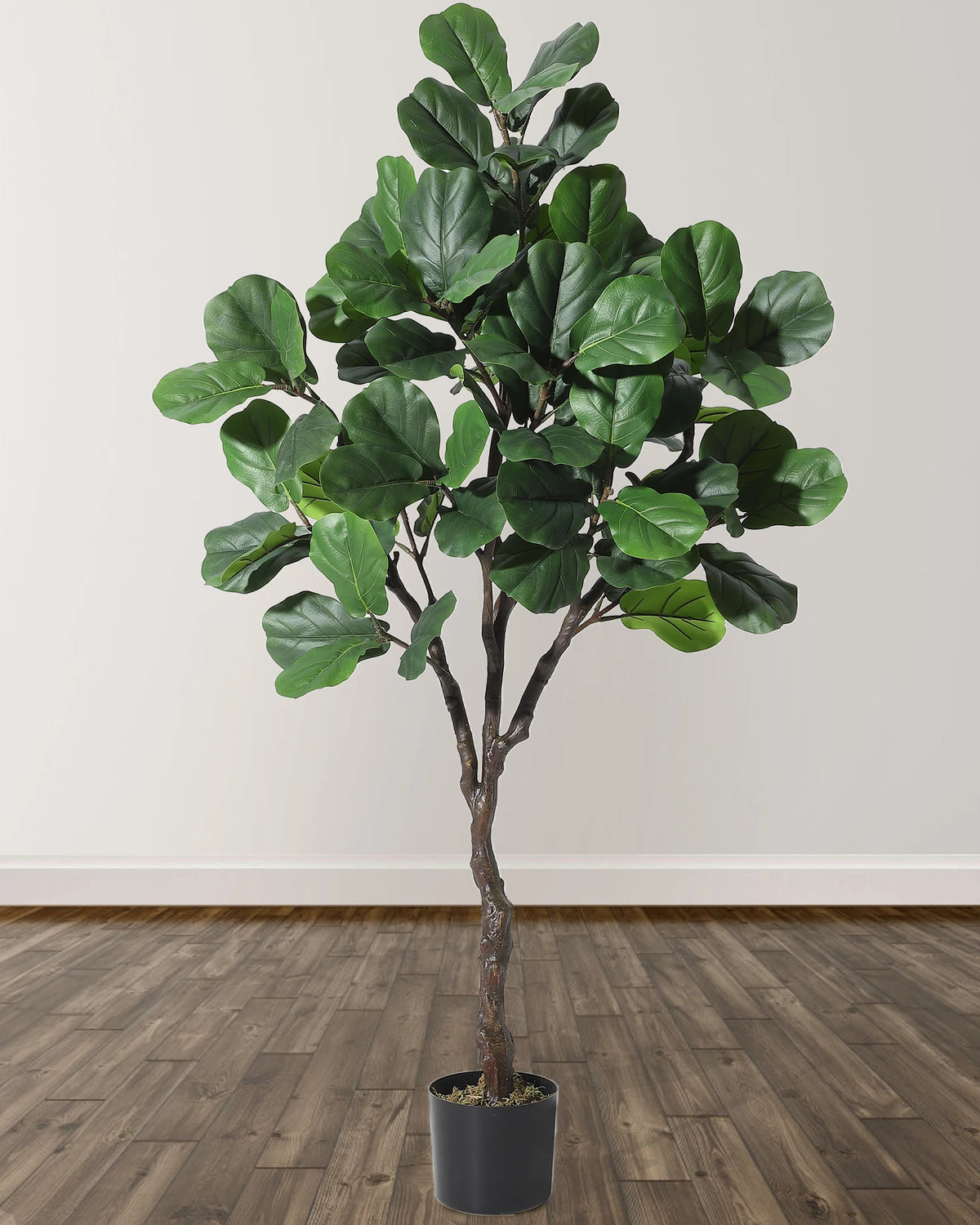 Artificial Fiddle Leaf Fig Tree — 4 to 6 ft, Black Planter with Weighted Base