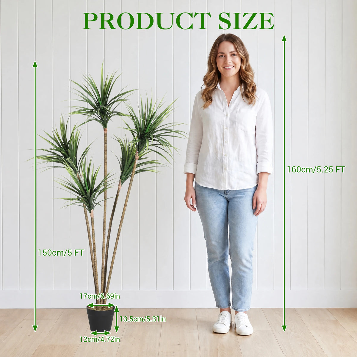 Artificial Dracaena Marginata Tree — 4.3 to 4.9 ft, Weighted Base