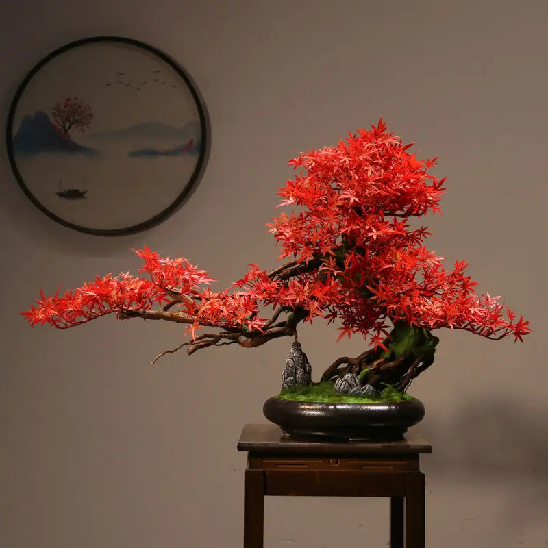 The Zen bonsai photographed front-on against a plain studio backdrop