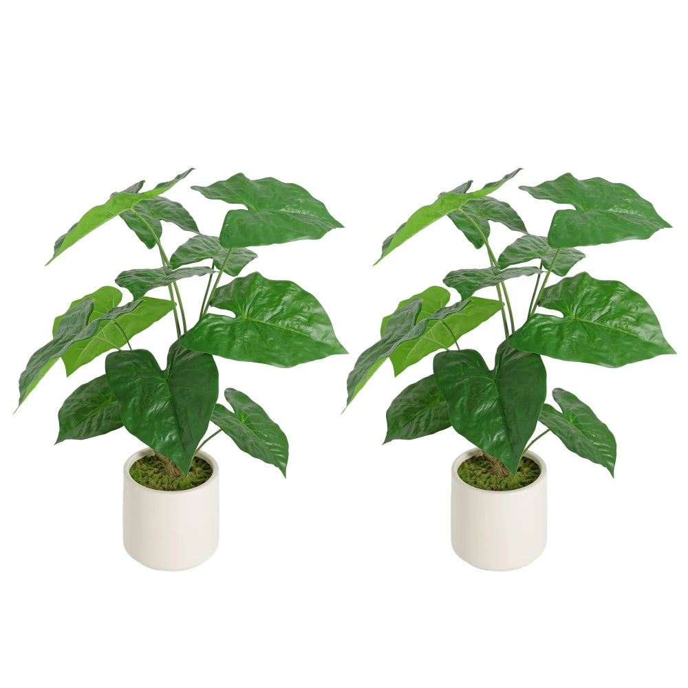 Artificial Alocasia Leaf Plant — 30 in, Set of 2 in a White Pot
