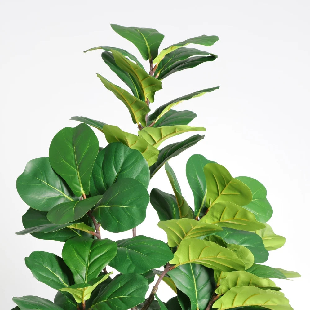 Artificial Fiddle Leaf Fig Tree — 6 ft, White Pot with Moss-Topped Soil