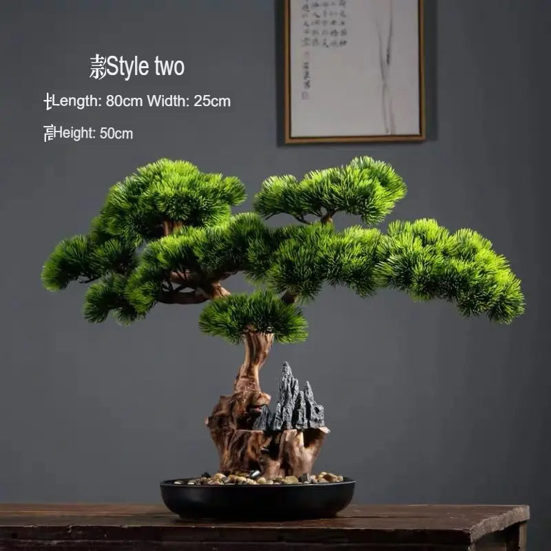 The lowest pad of the 2ft bonsai reaching over the rim of the pot