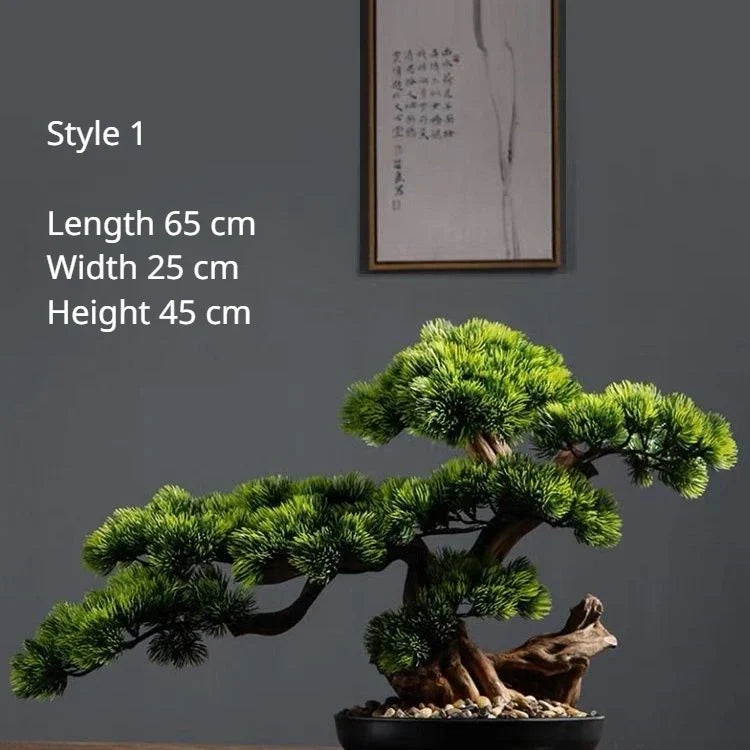 The 2ft bonsai in profile, branches reaching out past the pot rim