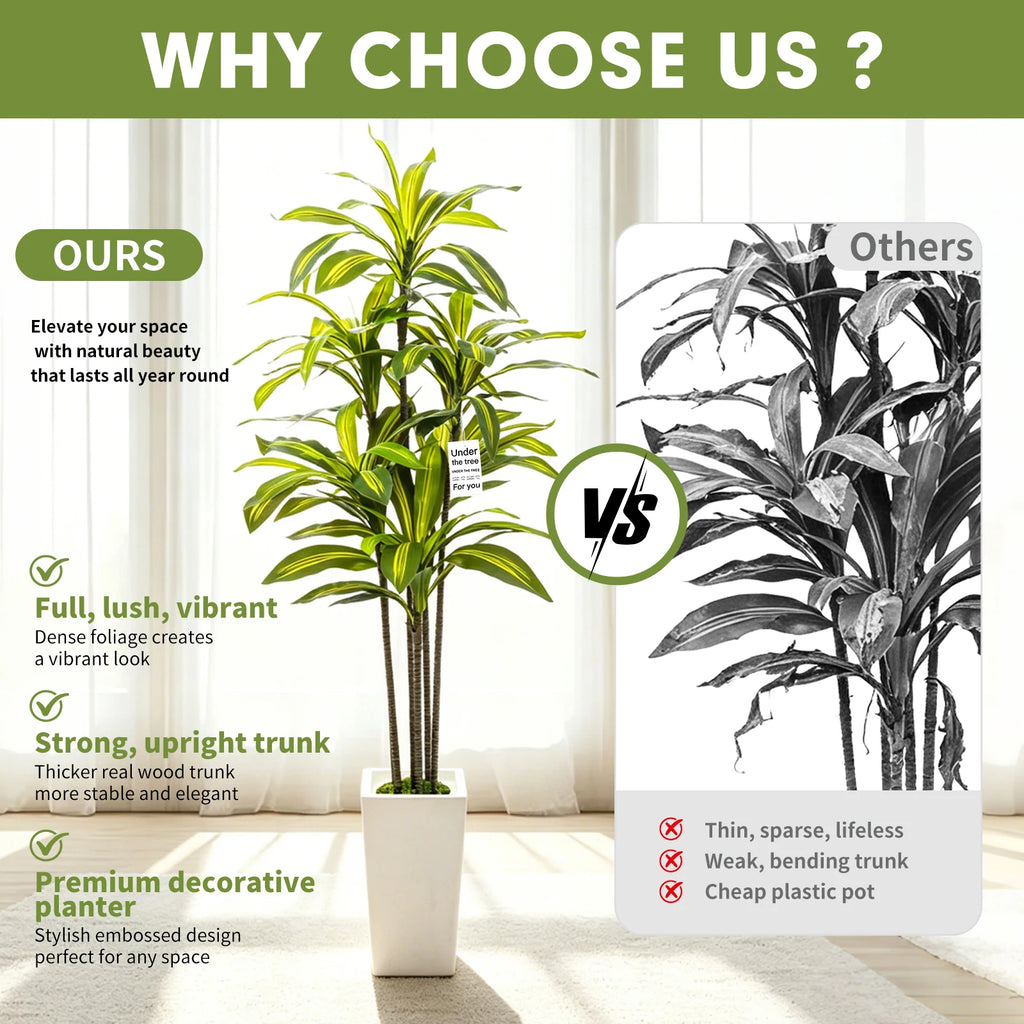 Artificial Dracaena Tree — 5 ft, White Tall Planter with Faux Moss