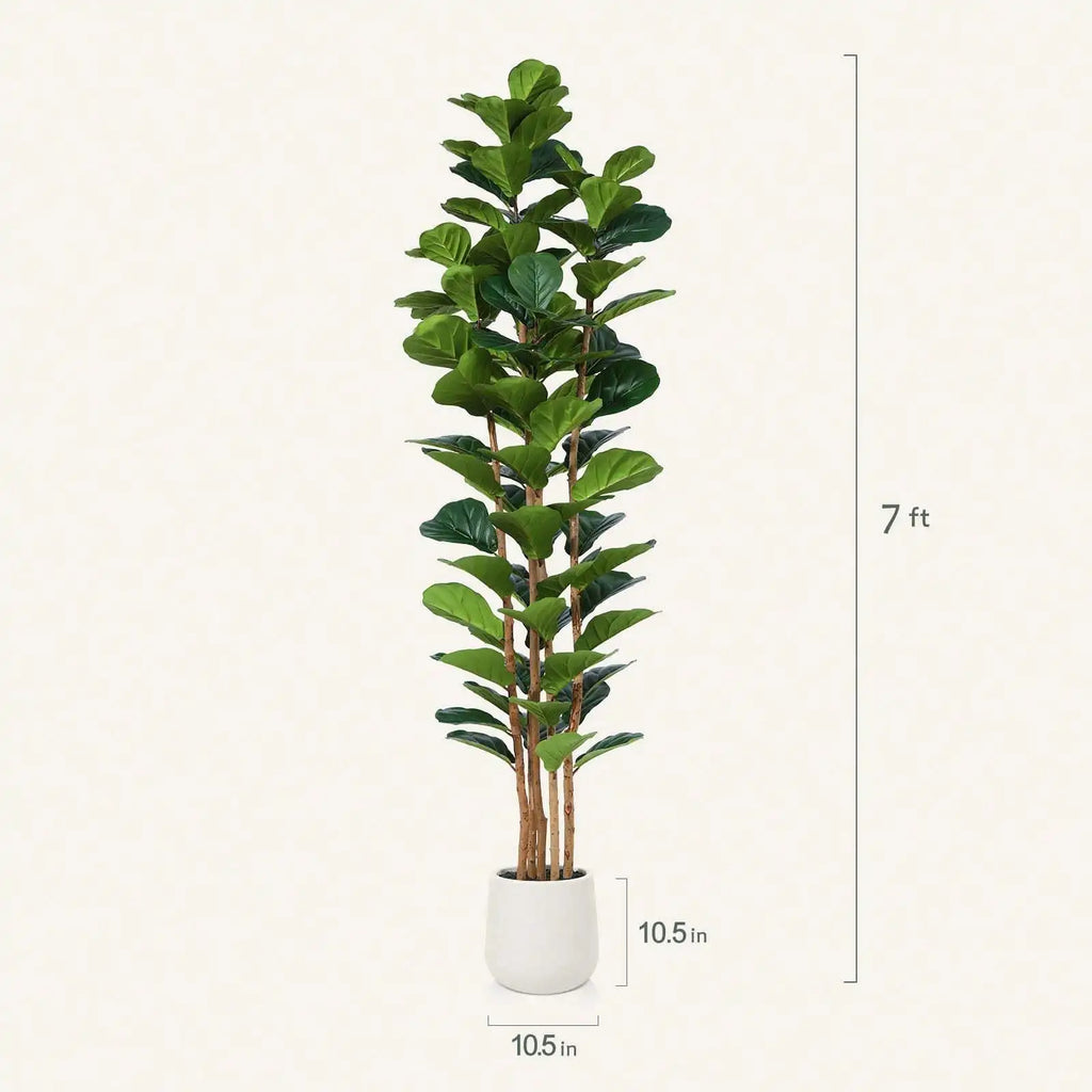 Artificial Fiddle Leaf Fig Tree — 5 to 7 ft, White Pot