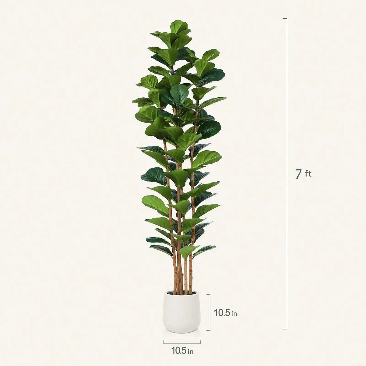 Artificial Fiddle Leaf Fig Tree — 5 to 7 ft, White Pot