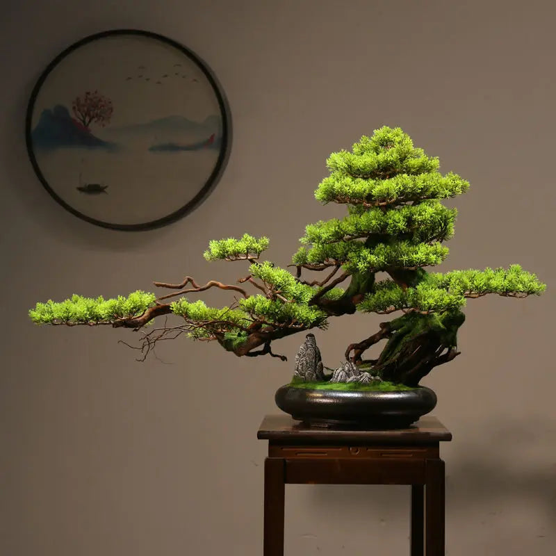 The lowest branch pad reaching out over the rim of the bonsai pot