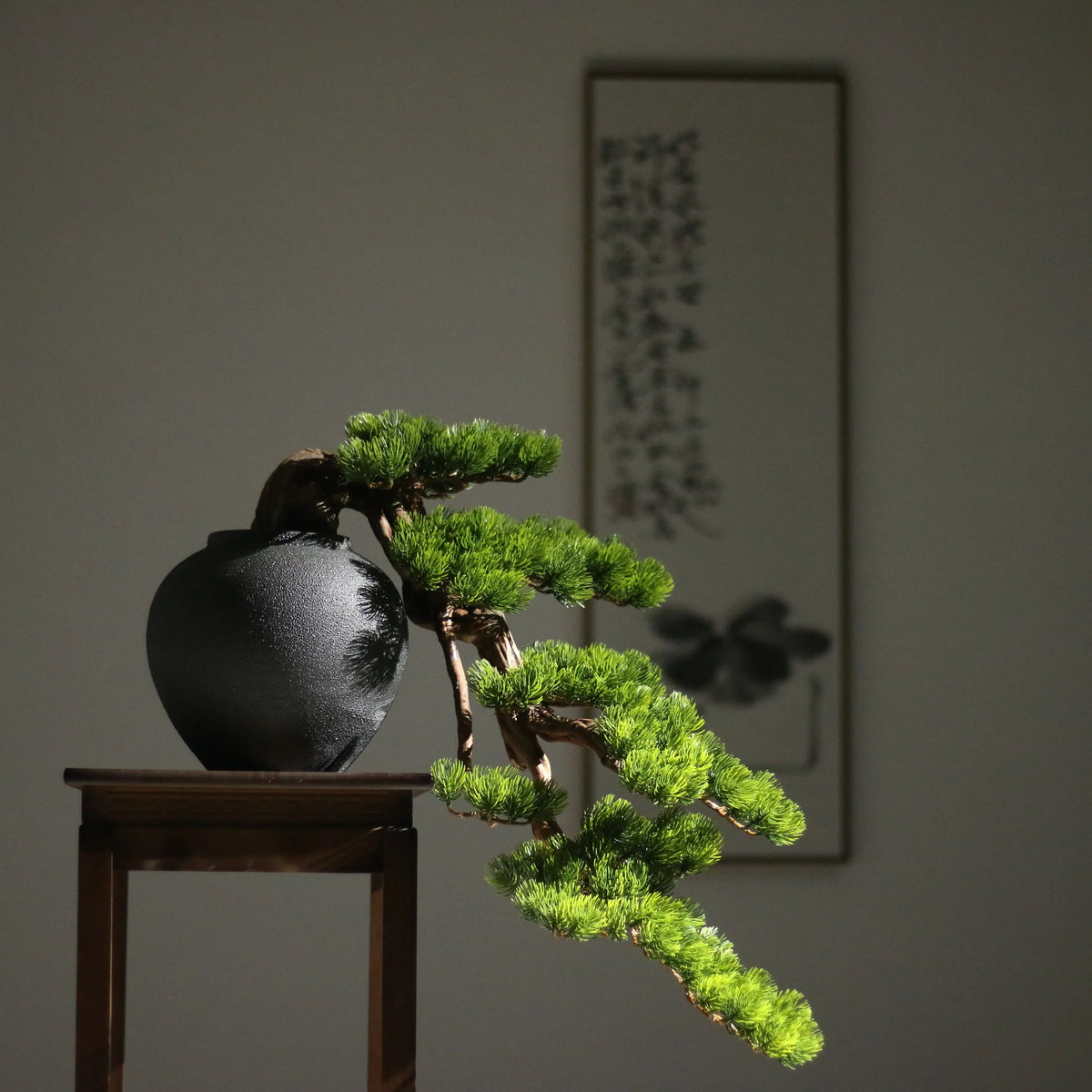 Pot and base of the 3ft cliff pine bonsai, topped with moss and stone