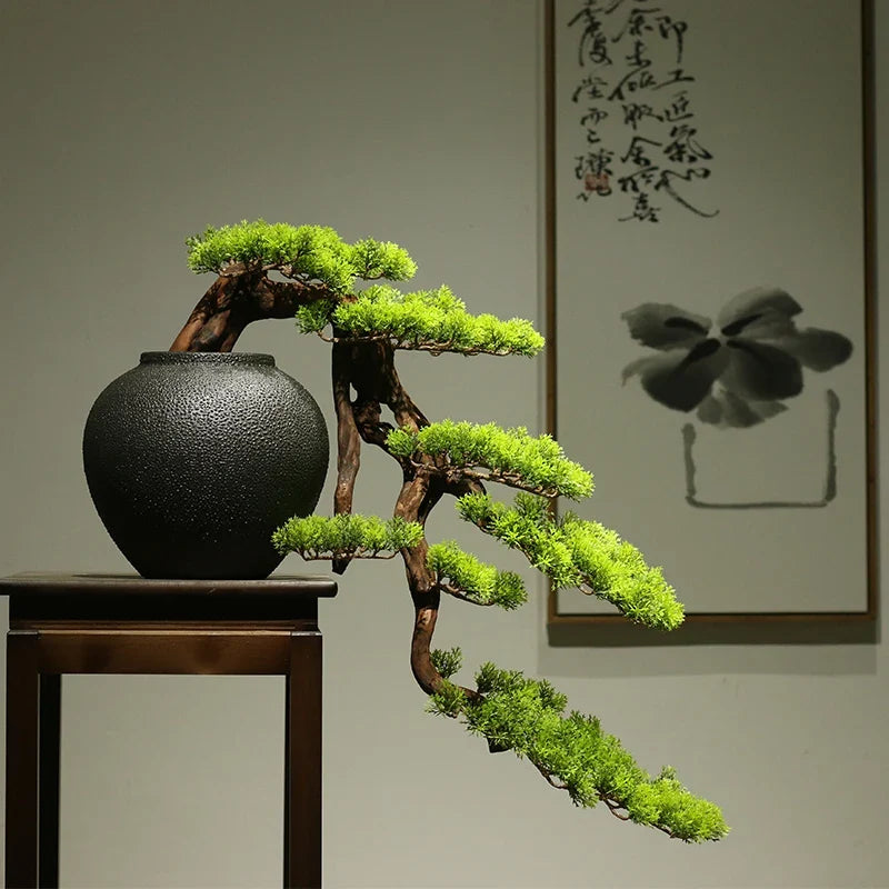 The 3ft cliff bonsai used as a compact indoor plant on a side table