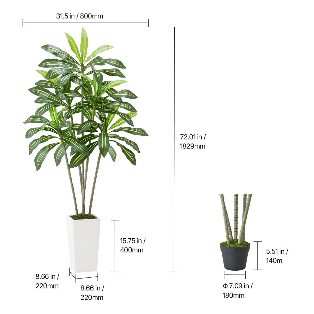 Artificial Dracaena Tree — 6 ft, White Planter with Moss Cover