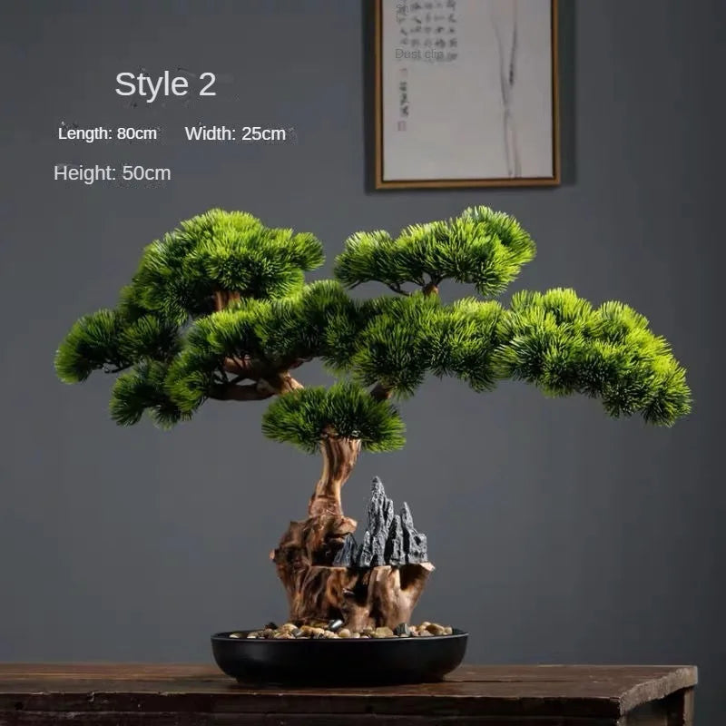 Close-up of a branch pad where it meets the trunk of the 2ft bonsai