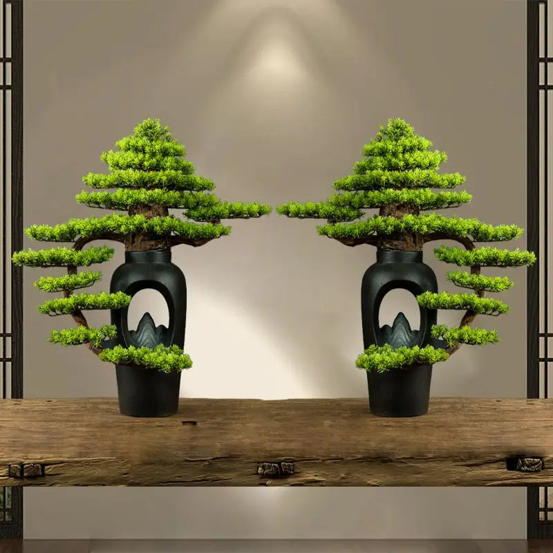The 3ft bonsai used as decoration on a low table in a bright living room