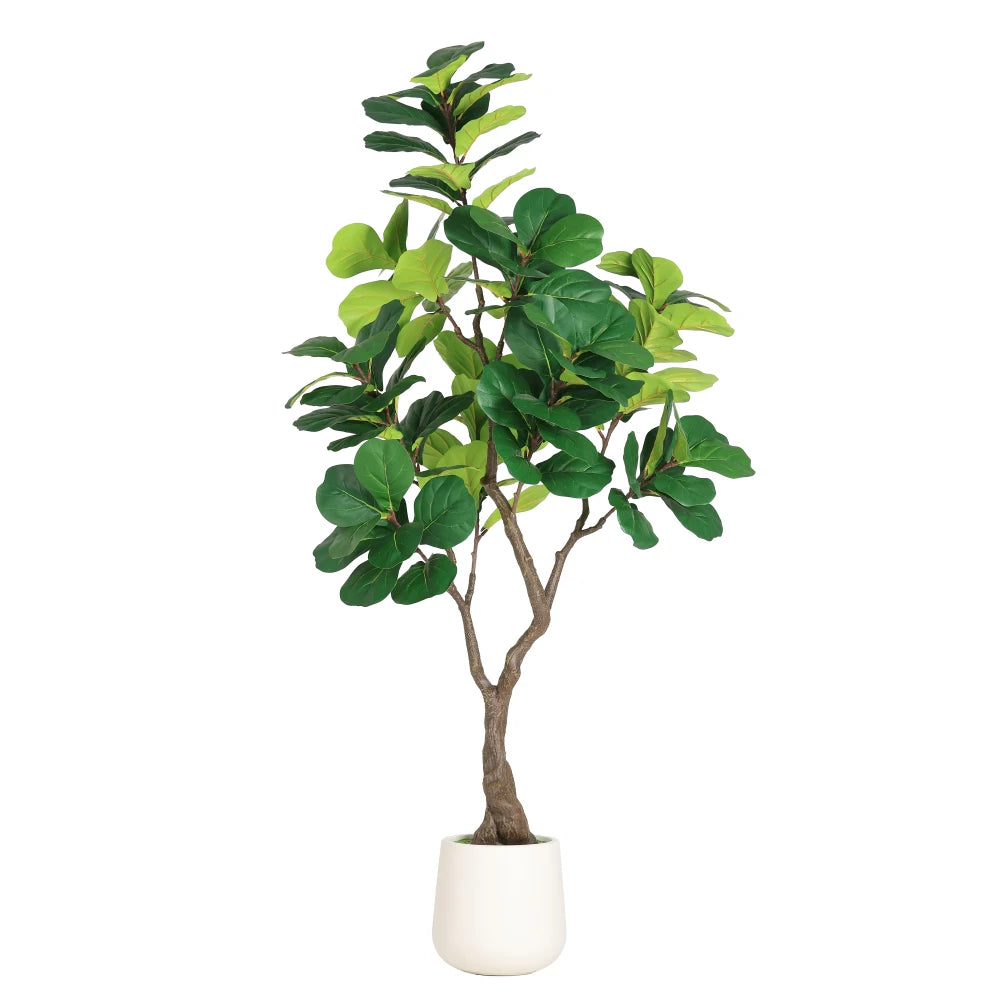 Artificial Fiddle Leaf Fig Tree — 6 ft, White Pot with Moss-Topped Soil