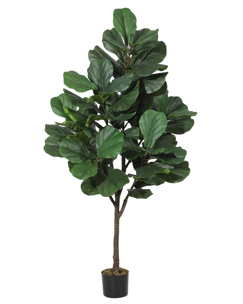 Artificial Fiddle Leaf Fig Tree — 4 to 6 ft, Black Planter with Weighted Base