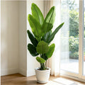 Artificial Bird of Paradise — 160 or 180 cm, Silk Leaves with Nursery Pot