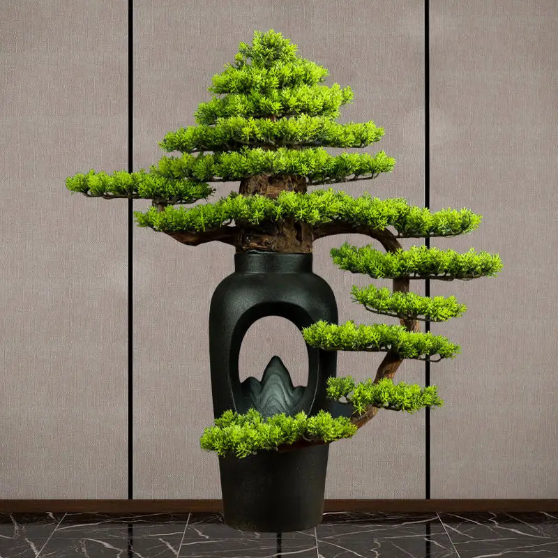The 3ft bonsai seen from above, with its pads opening out in open tiers