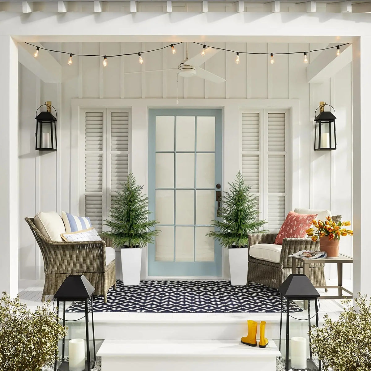 Artificial Norfolk Pine Trees — 4 ft, Set of 2, Black or White Planter