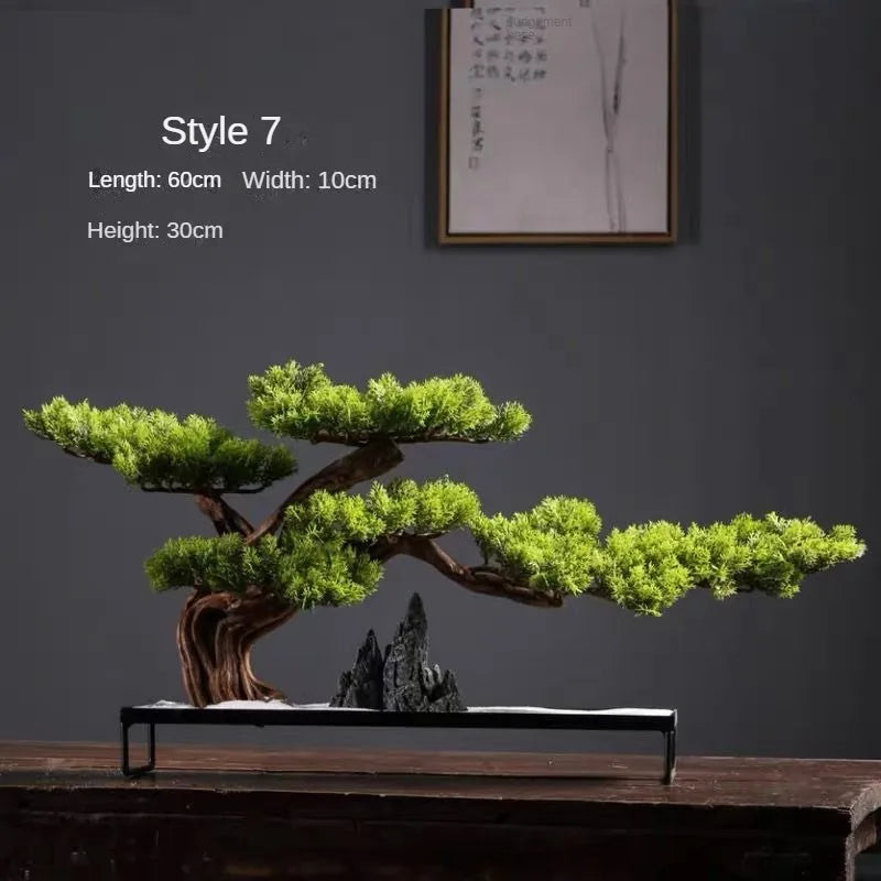 The 2ft bonsai seen from above, with its pads opening out in open tiers