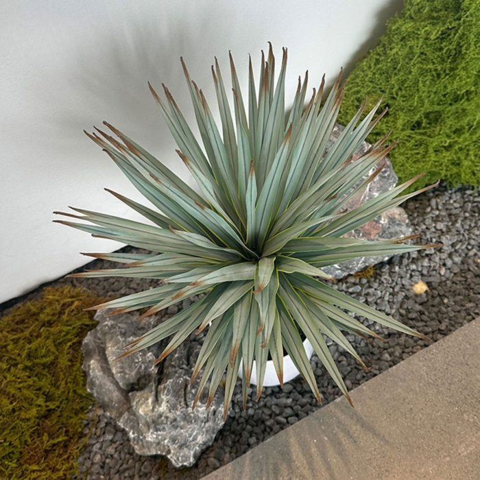 A leaf of the plant flexed by hand to show how pliable the soft rubber is