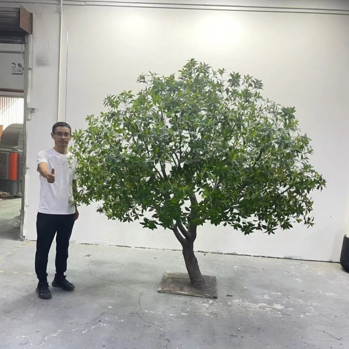 The 8ft faux Pieris standing in an office lobby beside a glazed partition
