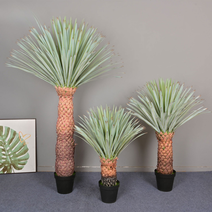 The 6ft plant used as a photography prop against a plain studio backdrop