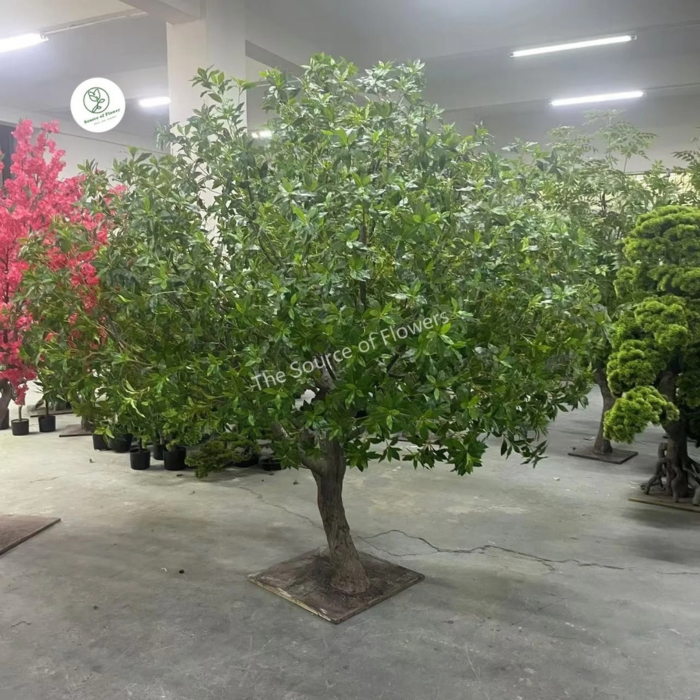 Faux Pieris japonica 8ft (2.4m) tall, leaf rosettes clustered along arching stems
