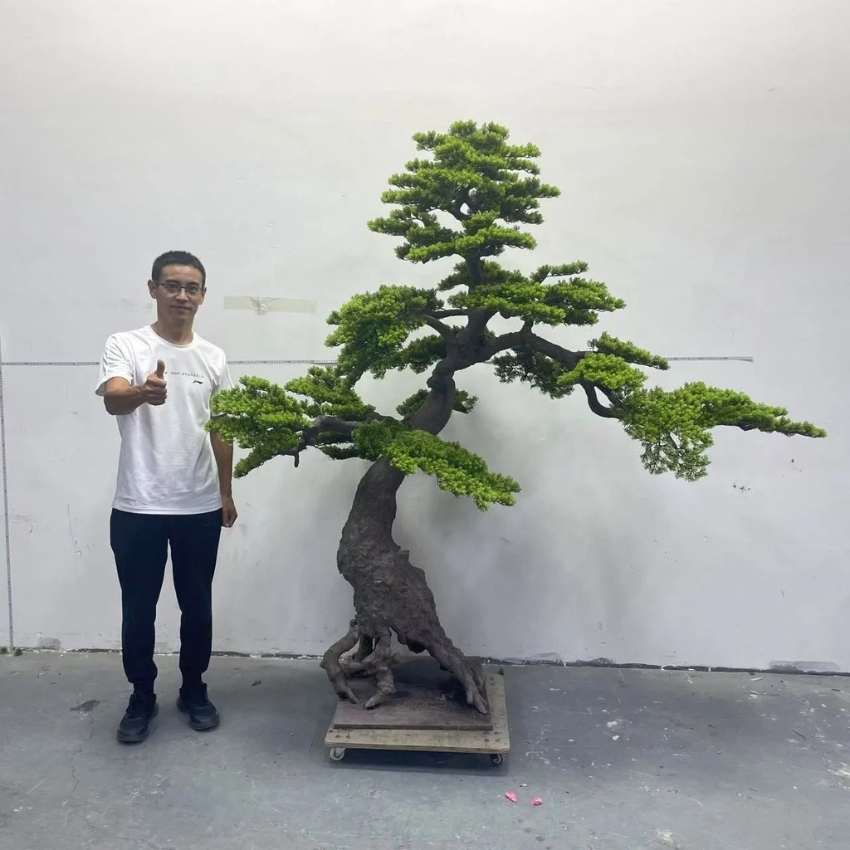Base and pot of the faux cedar bonsai, ready to sit inside a decorative planter