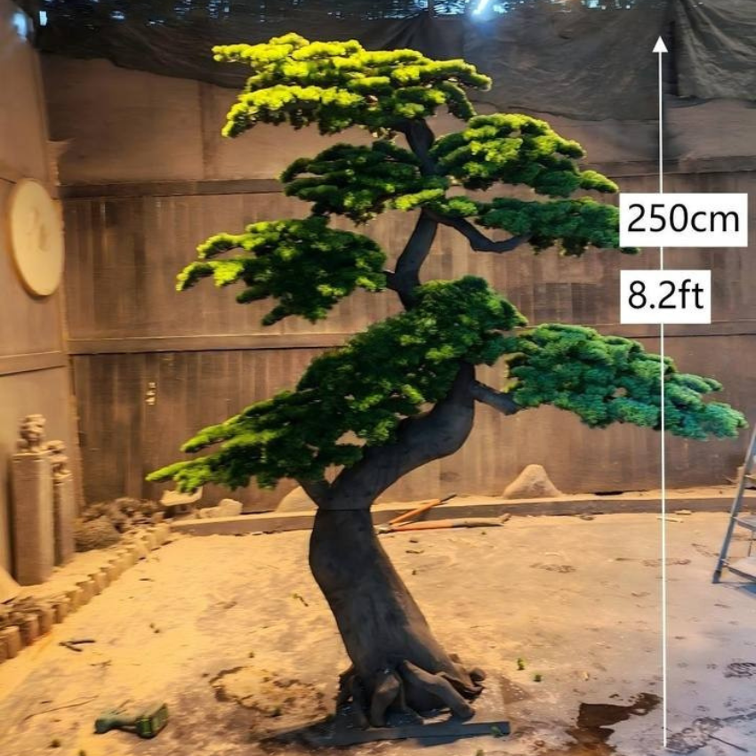 The cedar bonsai in a commercial lobby standing beside a run of glazing