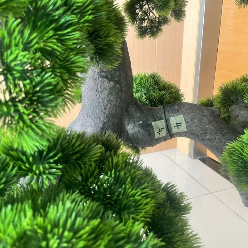 The cedar bonsai used as evergreen greenery on a balcony beside seating