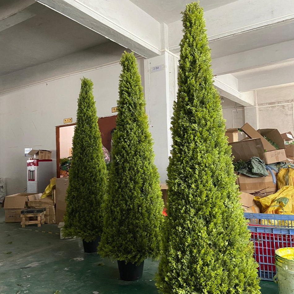 The 8ft conical tree photographed from the base up to its pointed green tip