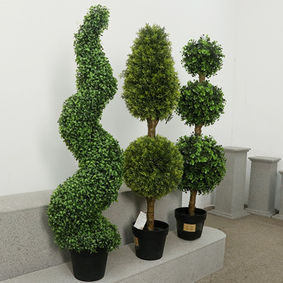 The potted topiary ball standing in a commercial lobby beside a doorway