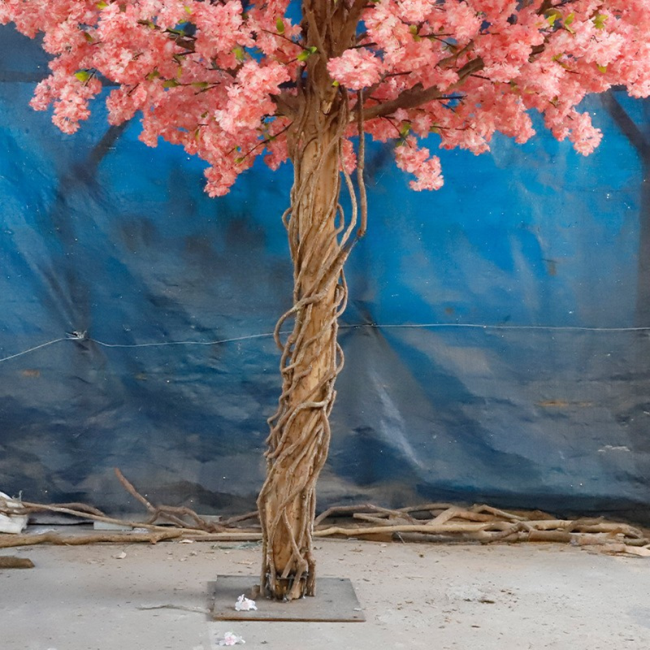 Close-up of the sakura blossoms and buds set along the slender branch tips