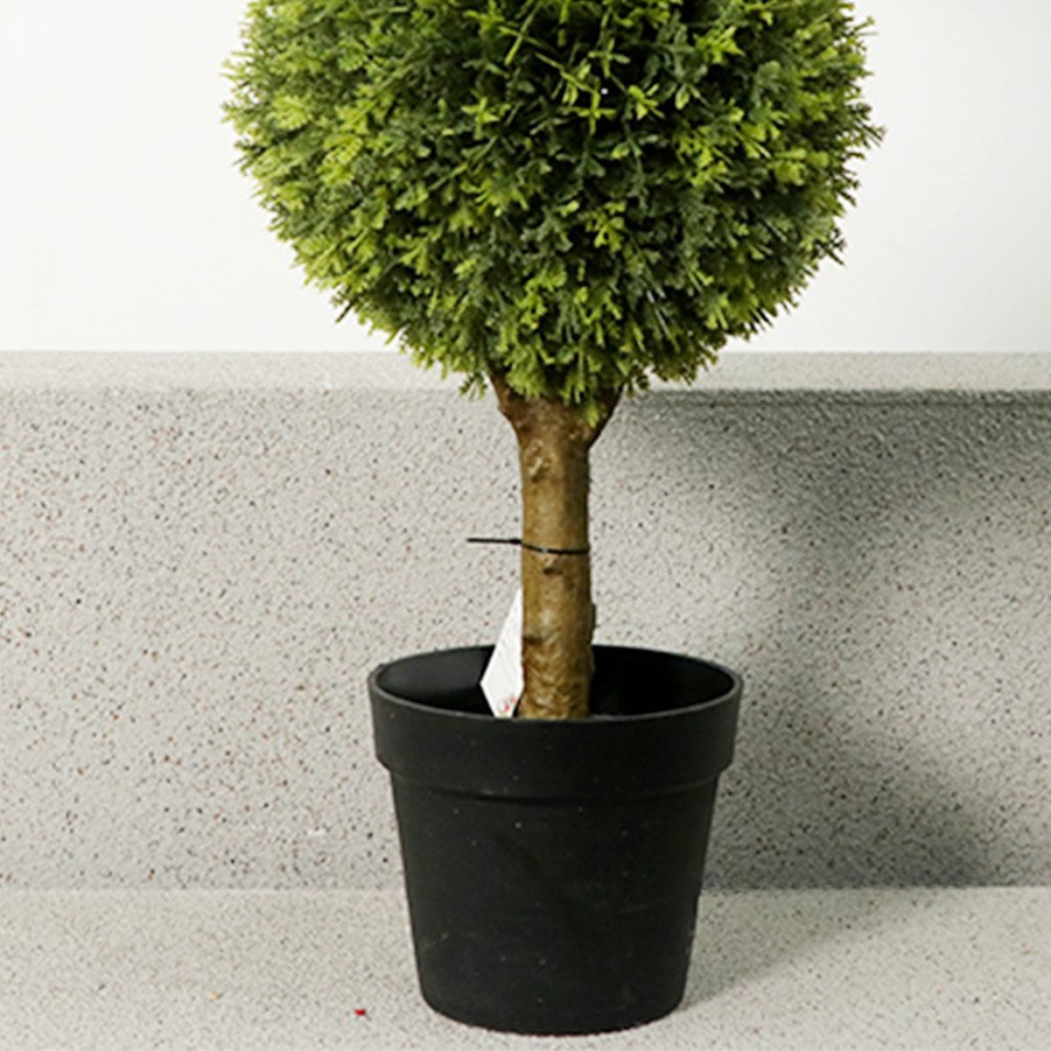Close-up of the topiary foliage trimmed tight into the ball's round surface
