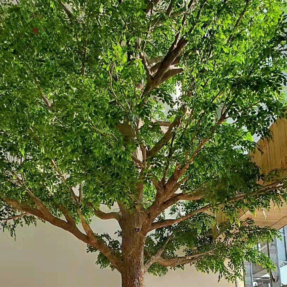 The heavy banyan trunk and its aerial roots at the base of the 10m tree