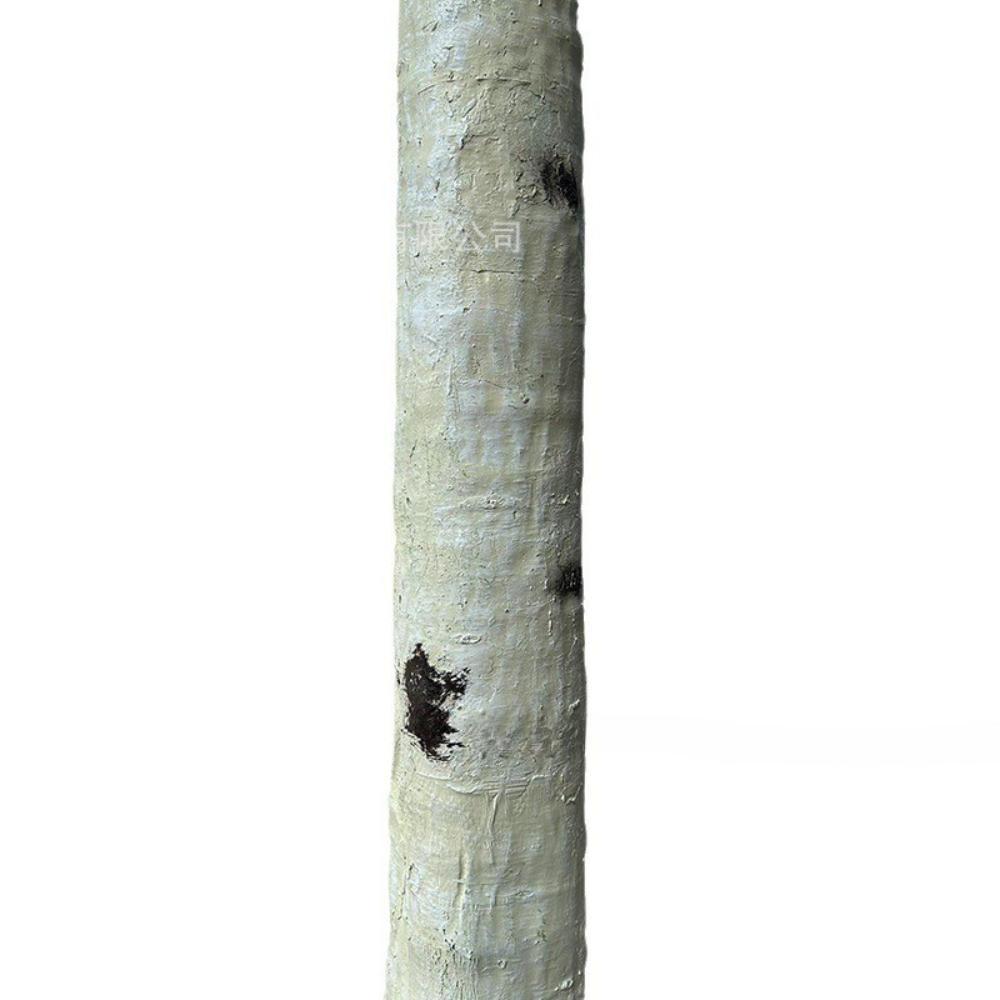 The birch tree used indoors as a tall feature beside a plain pale wall