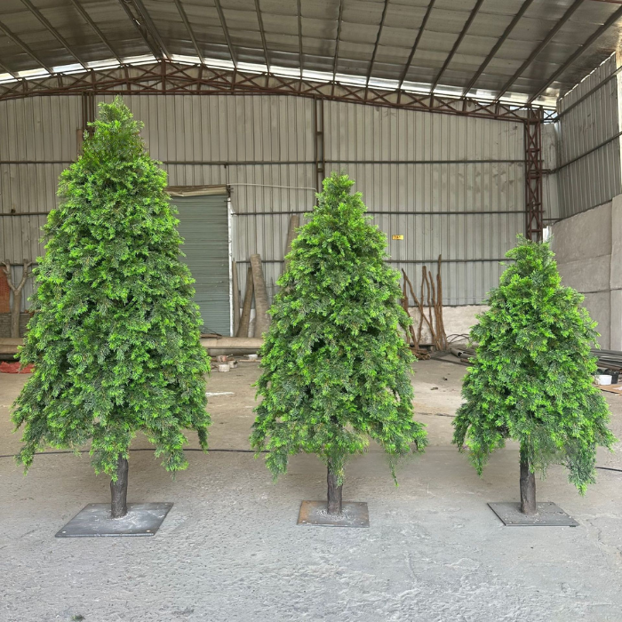 The full silhouette of the 2.1m cedar Christmas tree against a plain wall