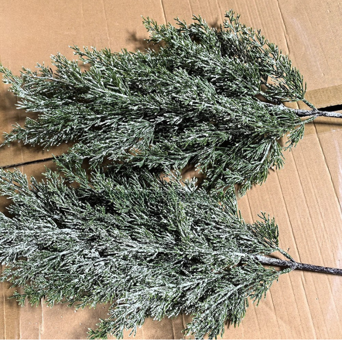 The pine tree standing indoors as a tall evergreen feature in a corner
