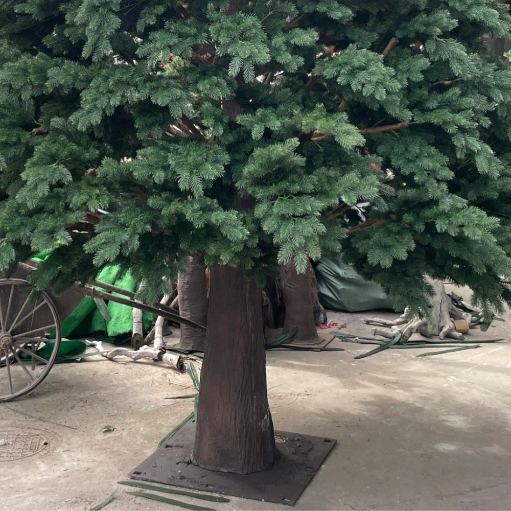 The 20ft Christmas tree standing outdoors as a large seasonal display