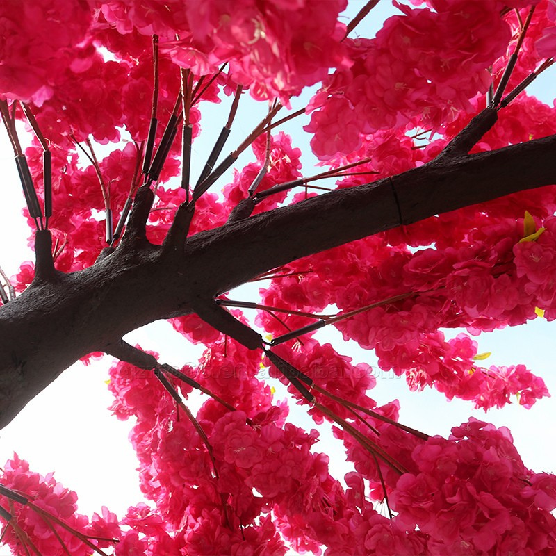 The branch frame of the blossom tree showing through the massed flowers