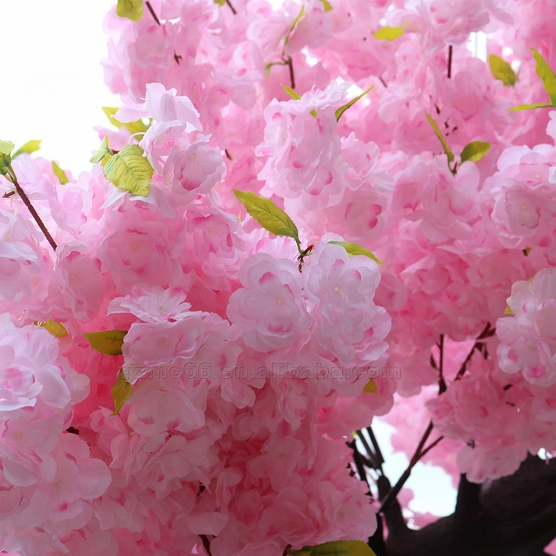 The blossom tree used as decoration in a home interior beside a pale wall